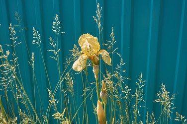 Similar image 21857589