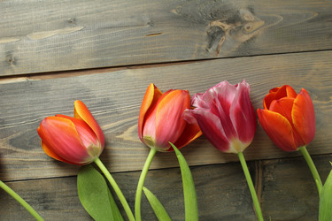 Similar image 21866021