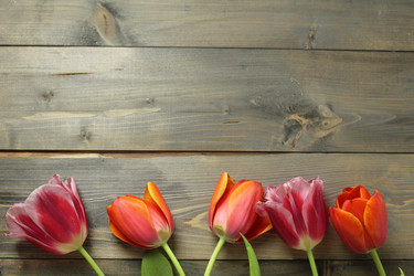 Similar image 21866022