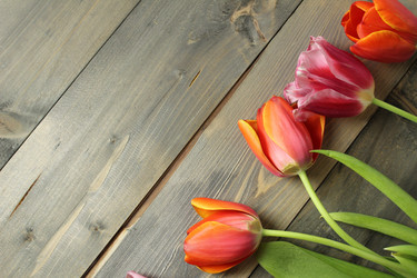 Similar image 21866023