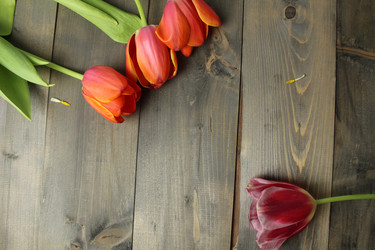 Similar image 21866024