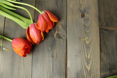 Similar image 21866025