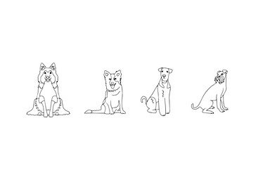 Similar image 21857134