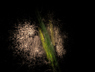 Similar image 21876007