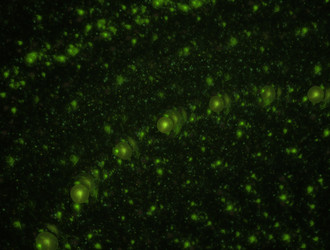 Similar image 21876019