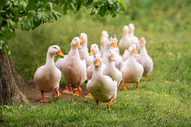 Similar image 21858605