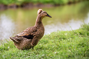 Similar image 21858606