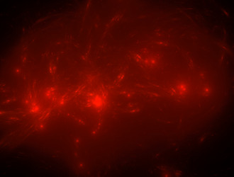 Similar image 21876416