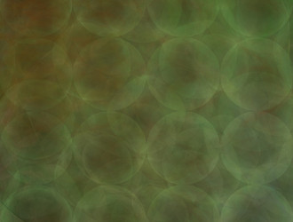 Similar image 21876044