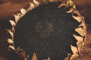 Similar image 21869554