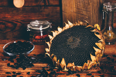 Similar image 21869556