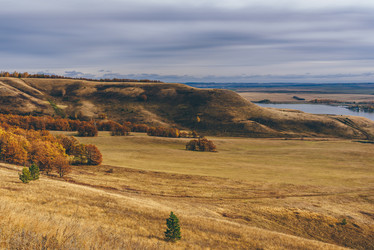 Similar image 21869558