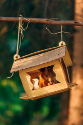 Similar image 21869559