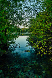 Similar image 21869571