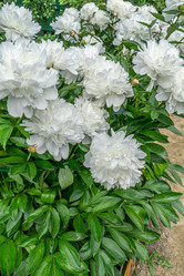 Similar image 21866046