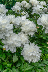 Similar image 21866047