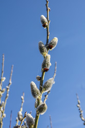 Similar image 21865390