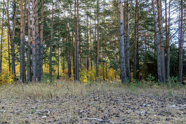 Similar image 21866054