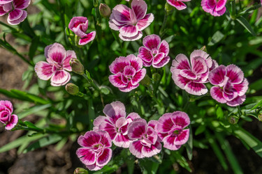 Similar image 21866068