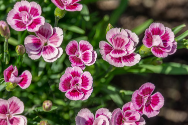 Similar image 21866069