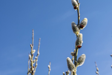 Similar image 21866074