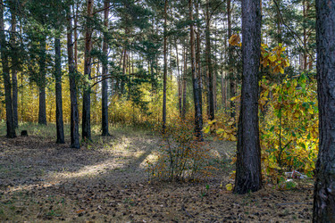 Similar image 21866083