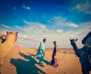 Similar image 21866436