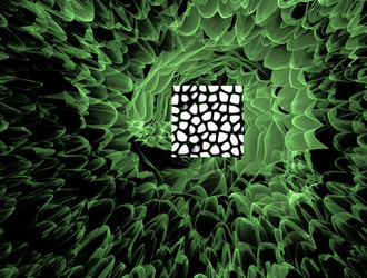 Similar image 21876056