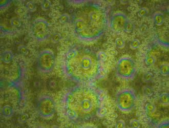 Similar image 21876434