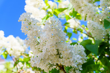 Similar image 21857400