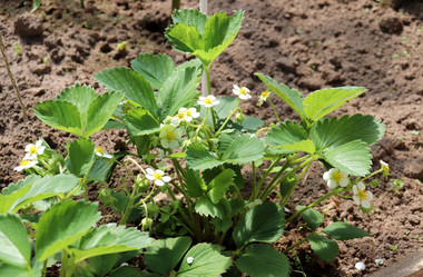 Similar image 21857591