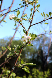 Similar image 21857593