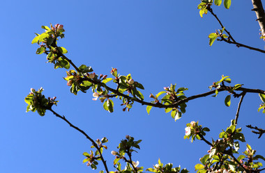 Similar image 21857595