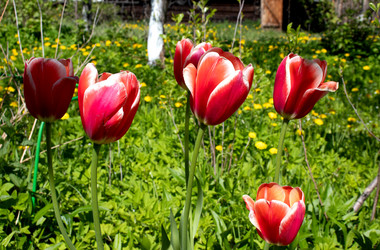 Similar image 21857597