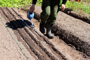 Similar image 21857599