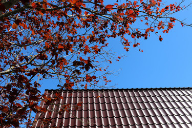 Similar image 21857600