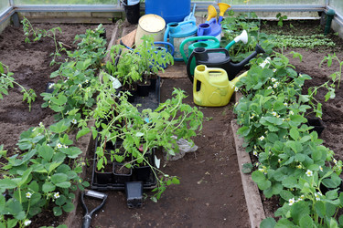 Similar image 21857601