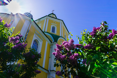 Similar image 21857401