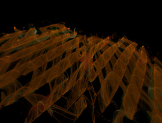 Similar image 21876097