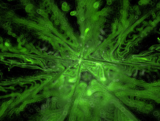 Similar image 21876103