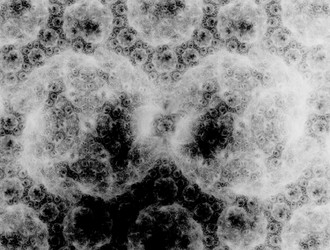 Similar image 21875689