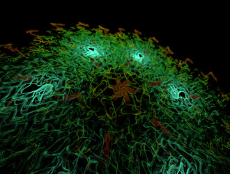 Similar image 21876108