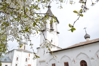 Similar image 21858626