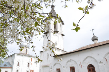 Similar image 21858629