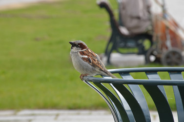 Similar image 21858643