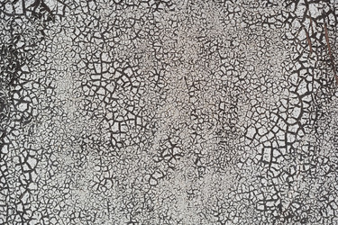 Similar image 21856869