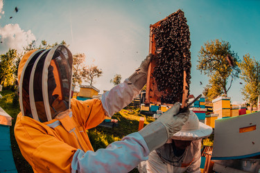 Similar image 21871007