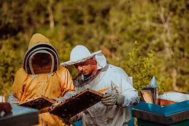 Similar image 21871192