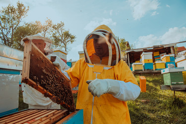 Similar image 21871375