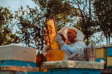 Similar image 21868124